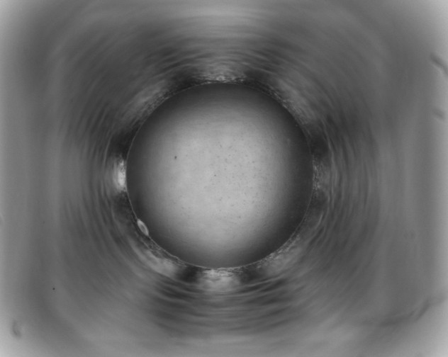 X0000095890095200801111205