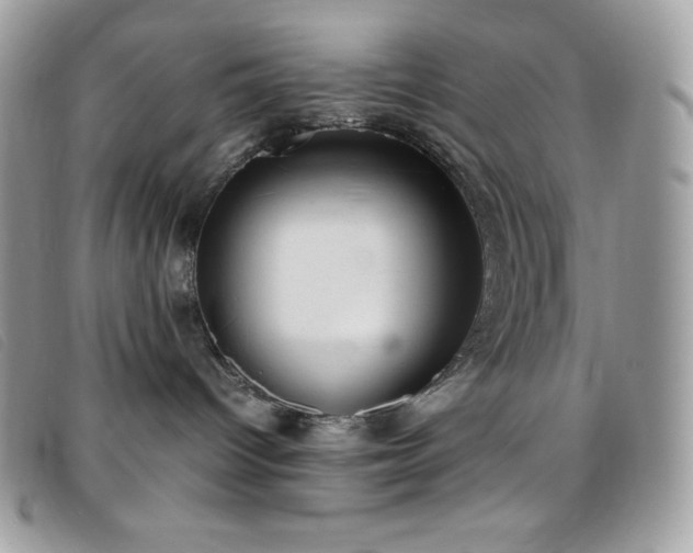 X0000095890096200801111205