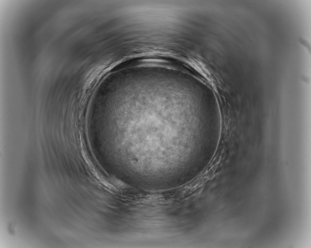 X0000095890097200801111204
