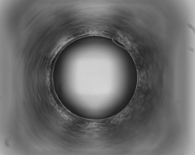 X0000095890098200801111204