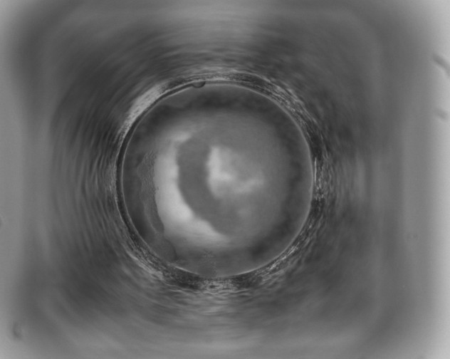 X0000095890099200801111204