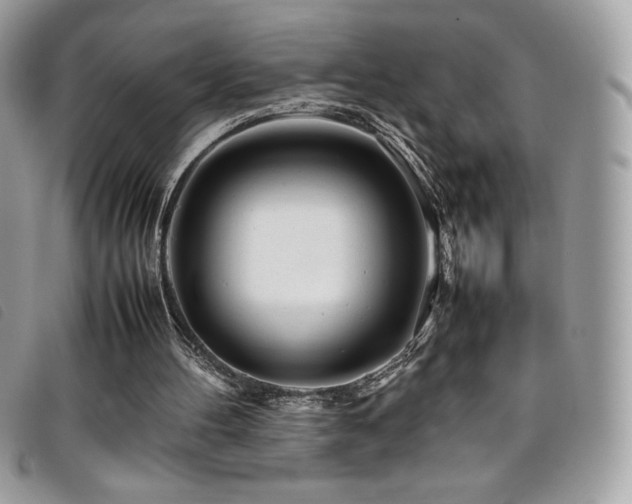 X0000095890100200801111204