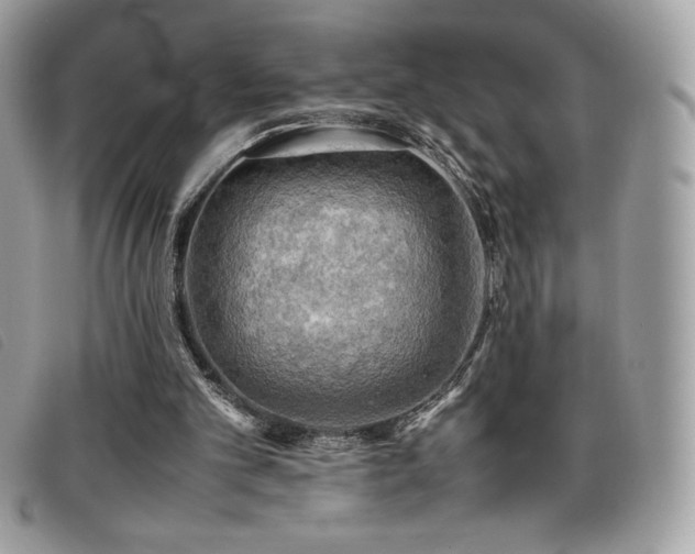 X0000095890101200801111204