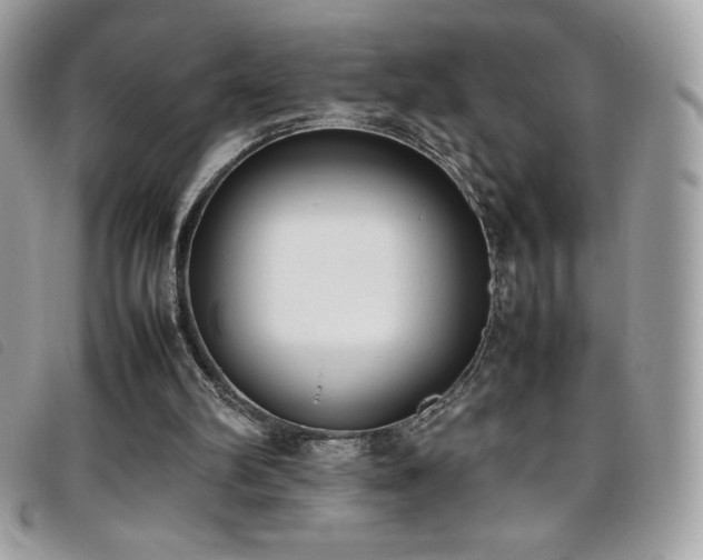 X0000095890102200801111204