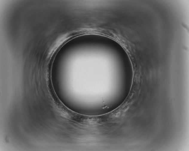 X0000095890103200801111204