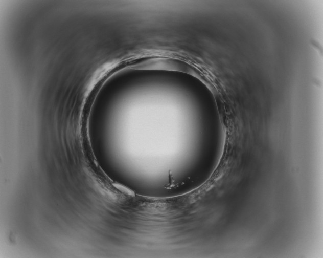 X0000095890104200801111204