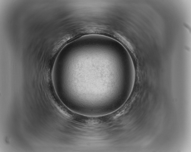 X0000095890105200801111204