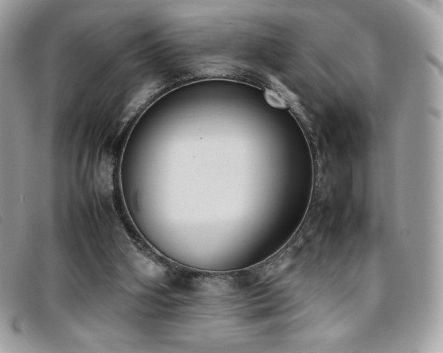 X0000095890106200801111204