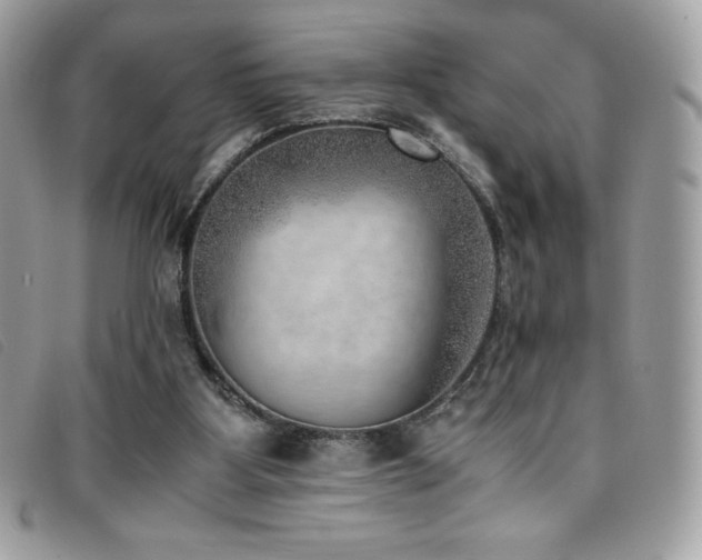 X0000095890107200801111204