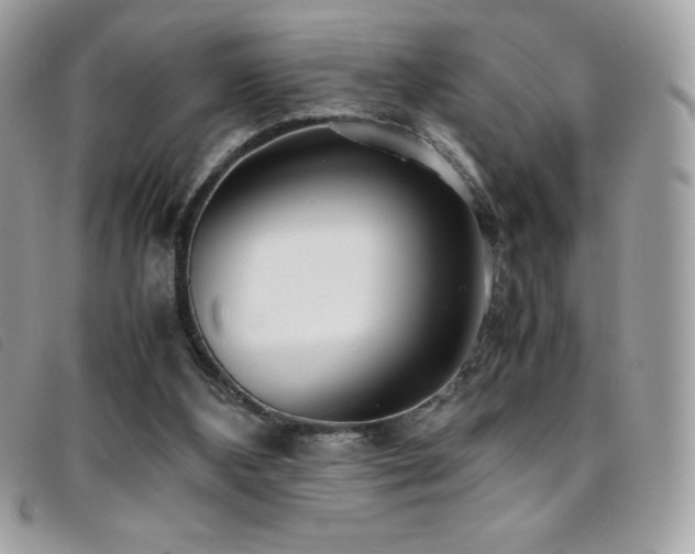 X0000095890108200801111204