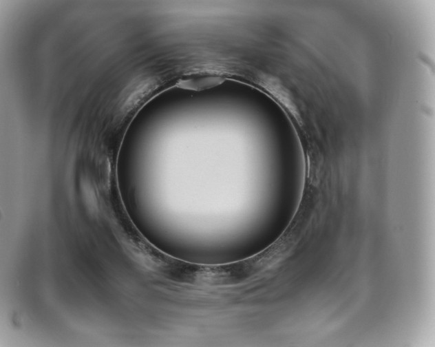 X0000095890109200801111204