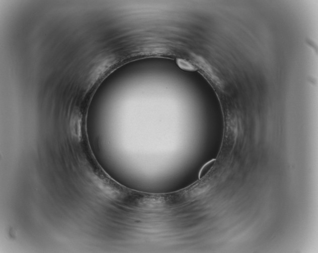 X0000095890110200801111204