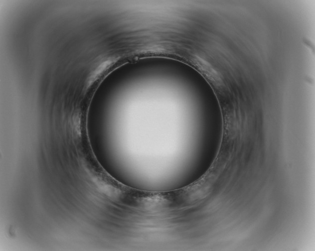 X0000095890112200801111204