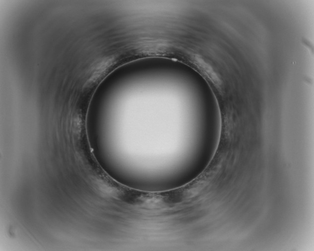 X0000095890113200801111204