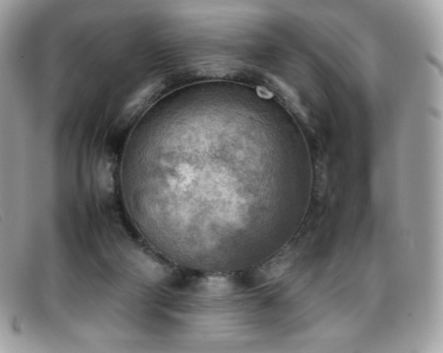 X0000095890114200801111204