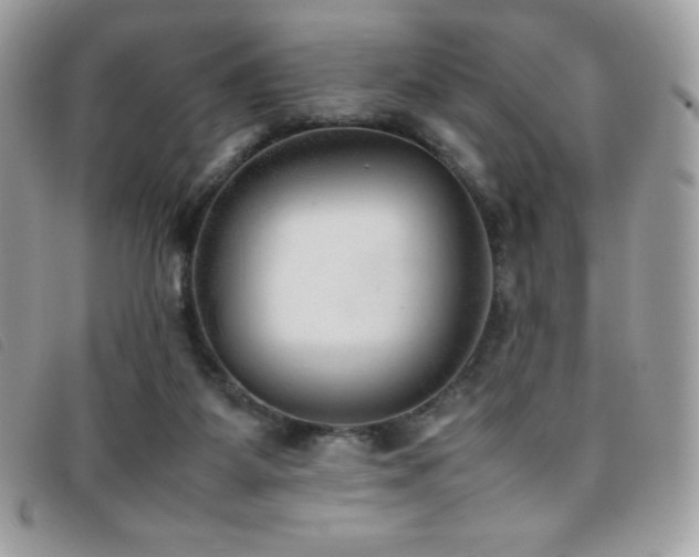 X0000095890115200801111204