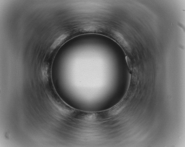 X0000095890116200801111204