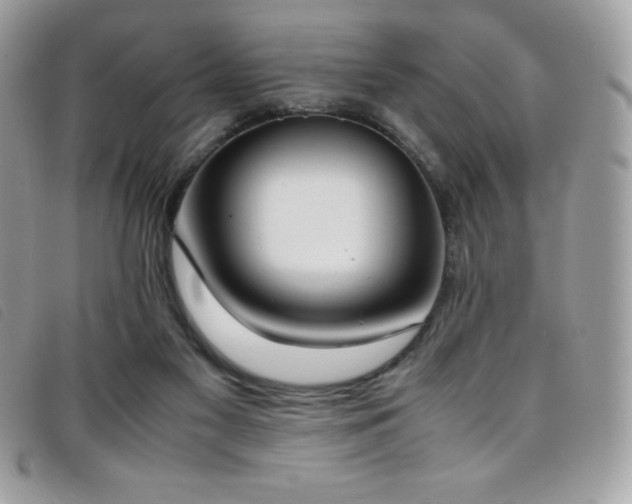 X0000095890117200801111204