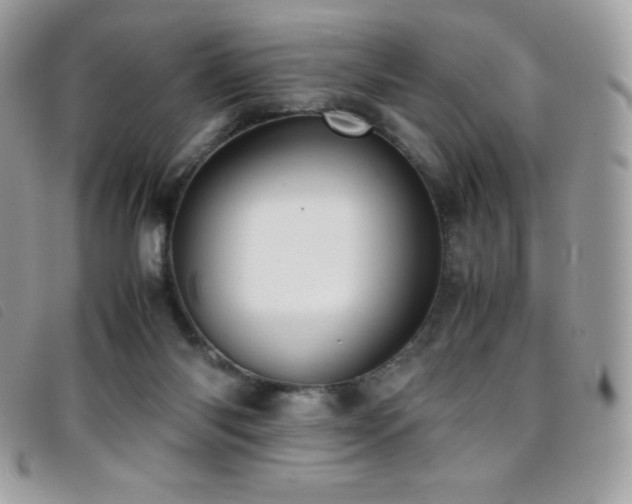 X0000095890118200801111204