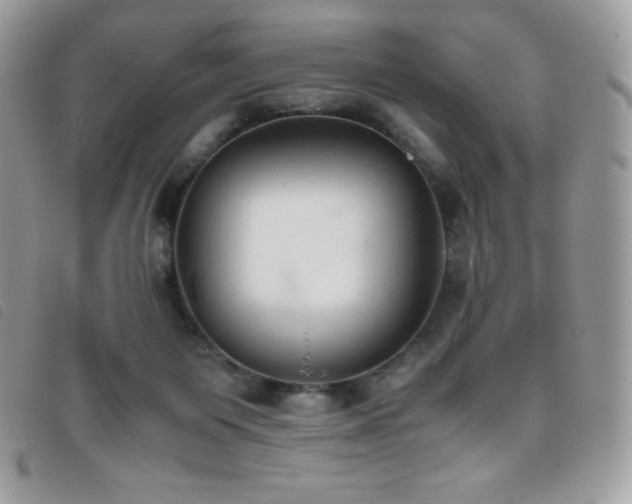 X0000095890119200801111204