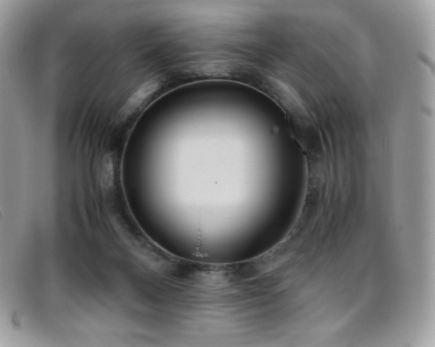 X0000095890120200801111204