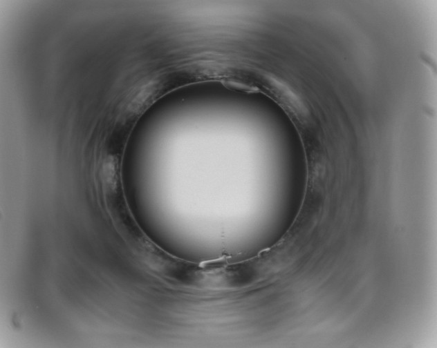 X0000095890121200801111204
