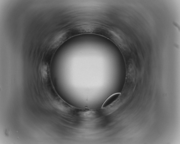 X0000095890122200801111204