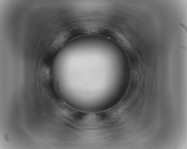 X0000095890123200801111204