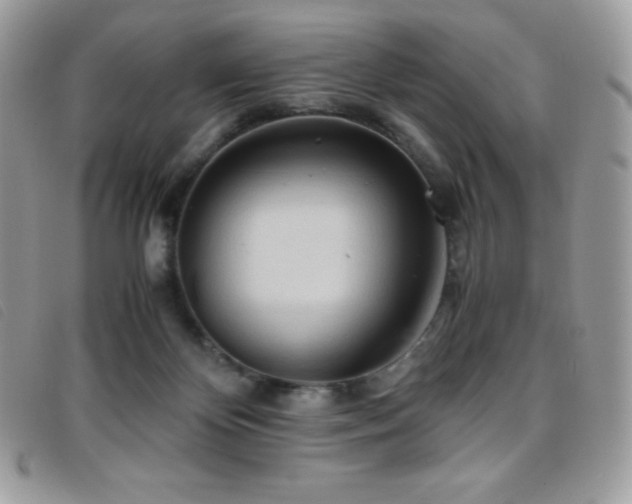 X0000095890124200801111204