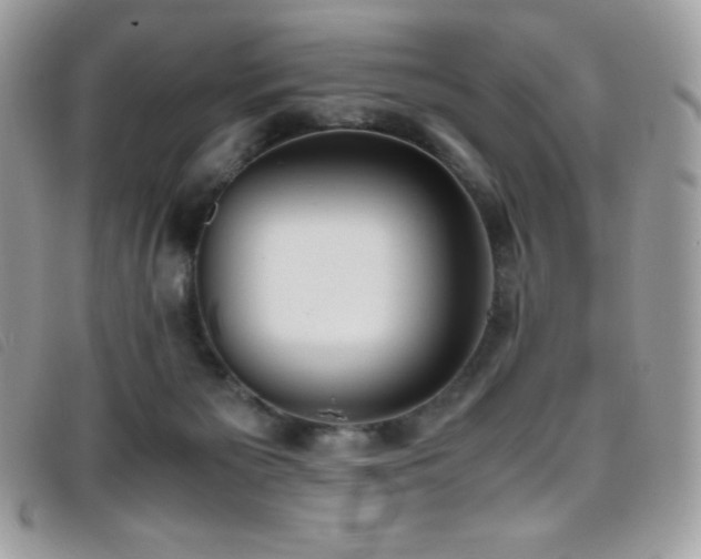 X0000095890125200801111204