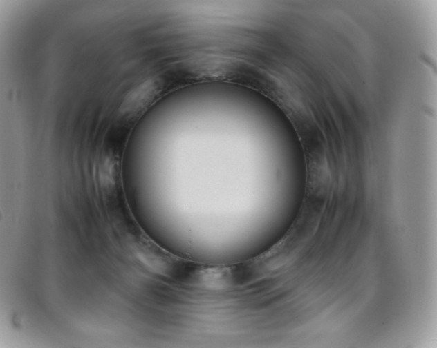X0000095890126200801111204