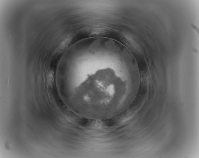 X0000095890127200801111204