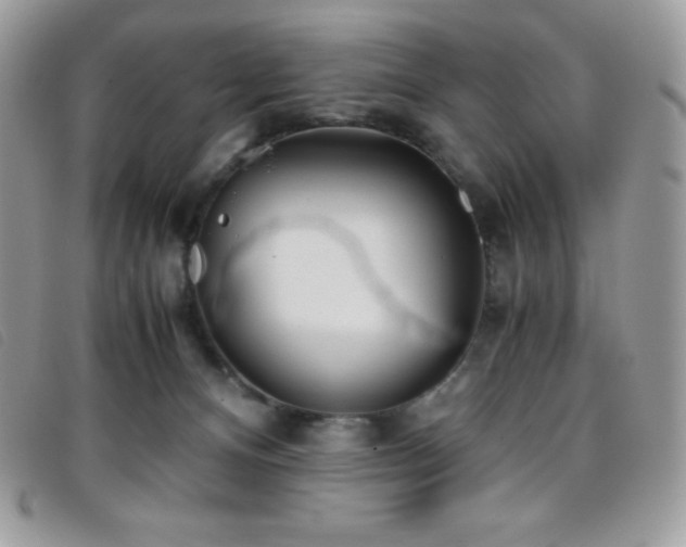 X0000095890128200801111204