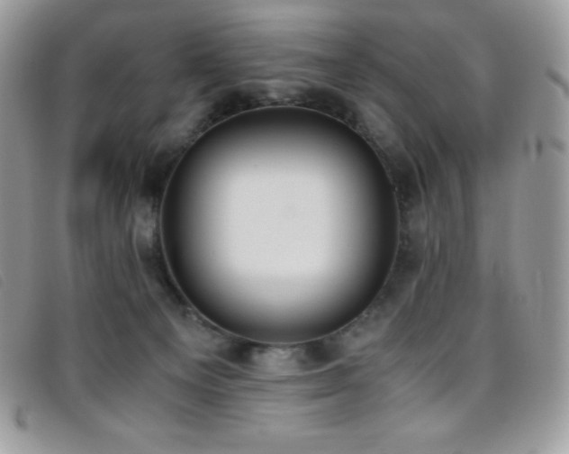 X0000095890129200801111204