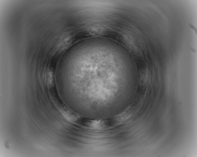 X0000095890130200801111204