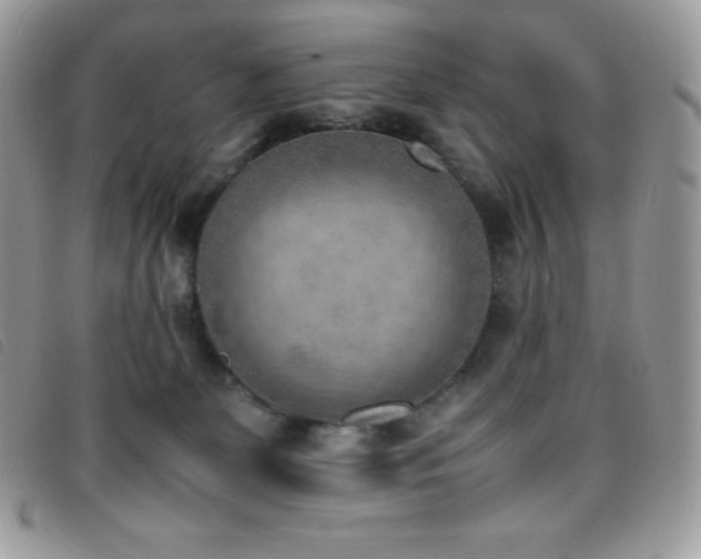 X0000095890131200801111204