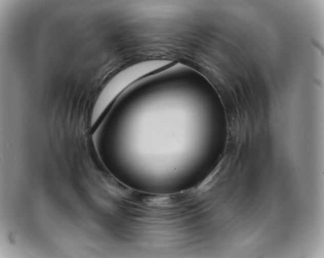 X0000095890132200801111204