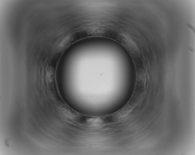 X0000095890133200801111204