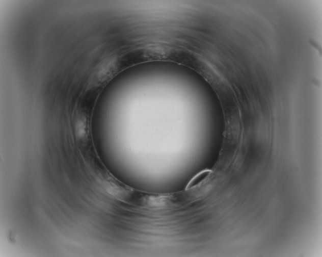 X0000095890134200801111204