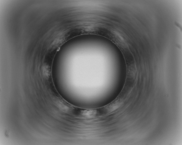 X0000095890135200801111204