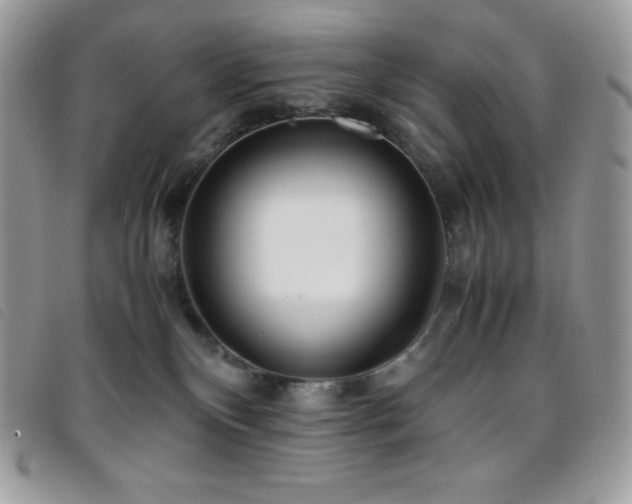 X0000095890136200801111204