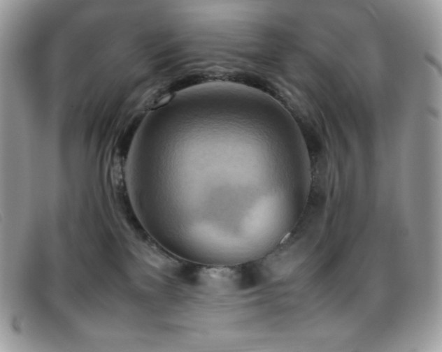 X0000095890137200801111204