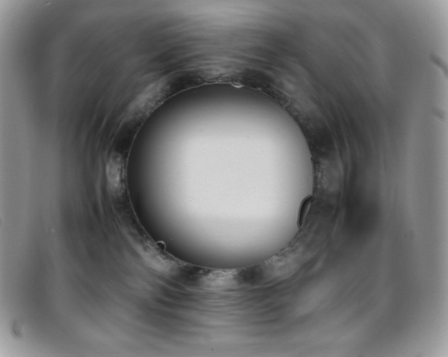 X0000095890138200801111204