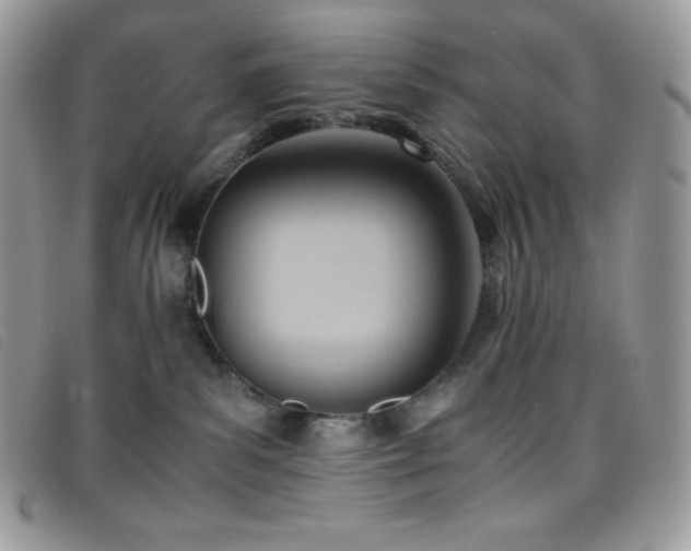 X0000095890139200801111204