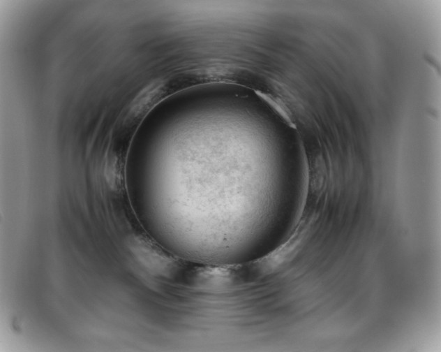 X0000095890140200801111204