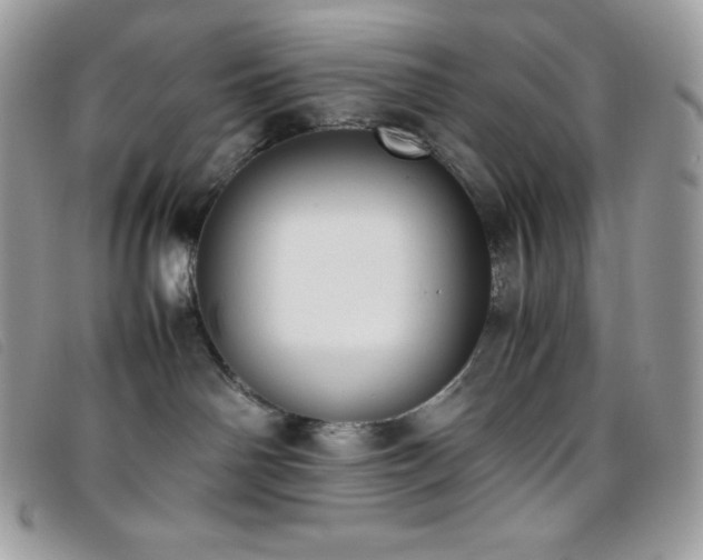X0000095890142200801111204