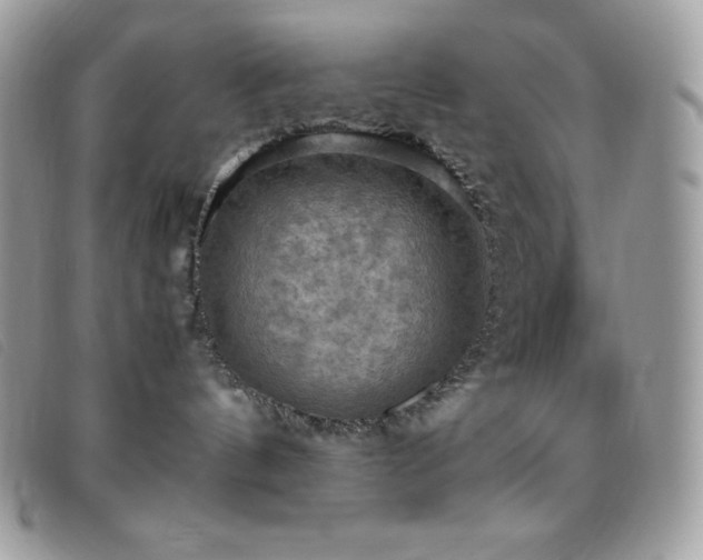 X0000095890144200801111203