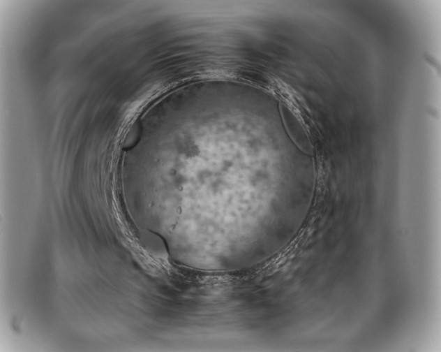 X0000095890145200801111203