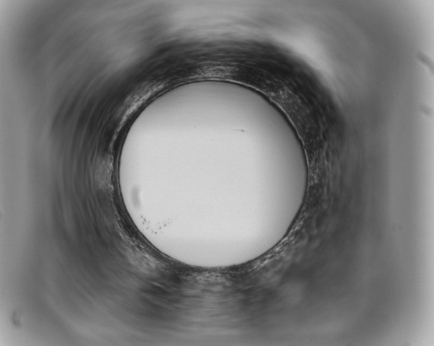 X0000095890146200801111203