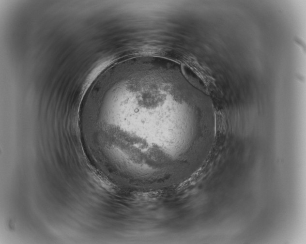 X0000095890147200801111203
